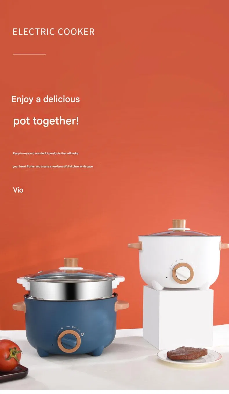 Multi-Function Electric Cooker