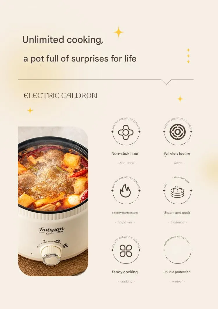 Electric Cooker Detail 2