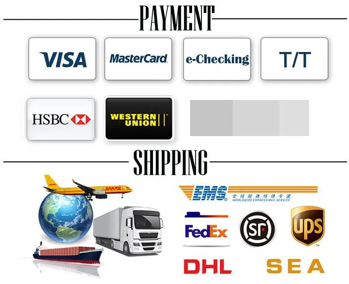 Shipping Logistics