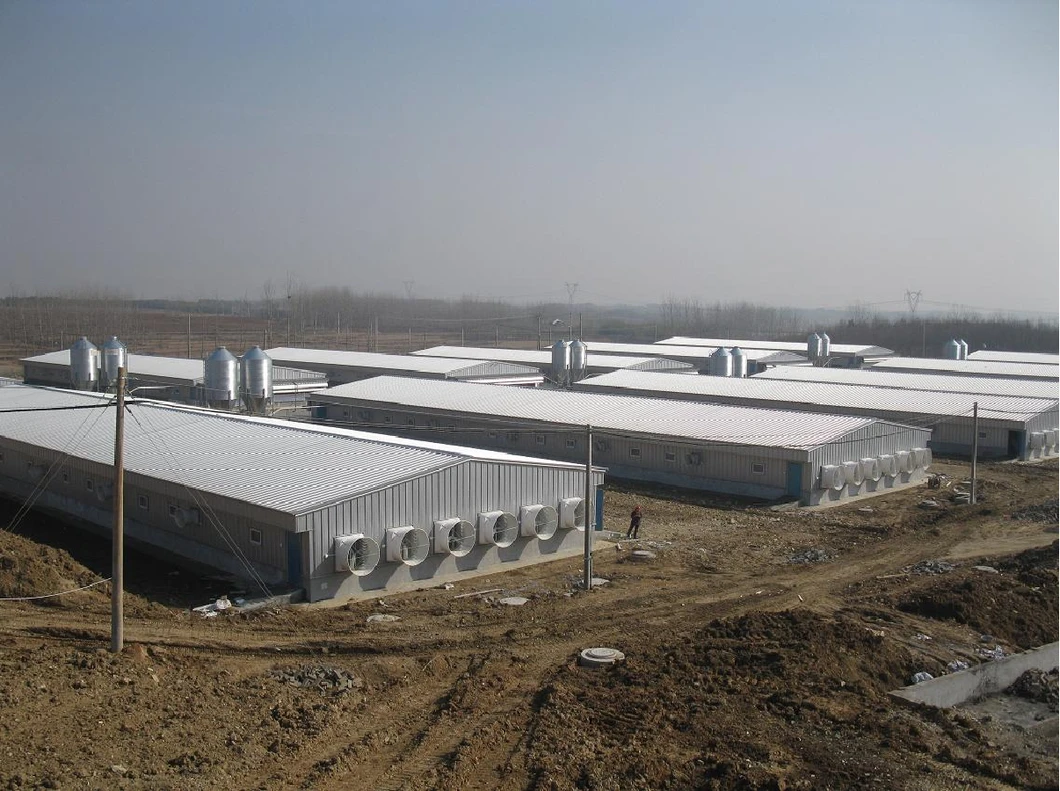 Drinking System Details