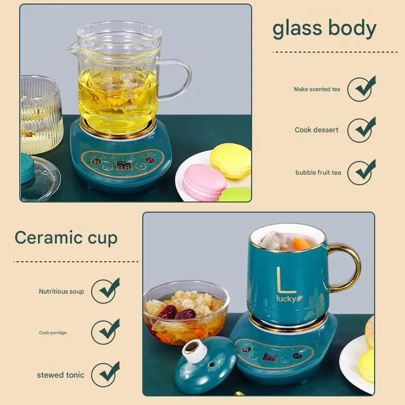 Electric Cooker Details