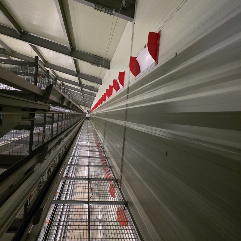 Energy-Efficient Lighting and Ventilation Systems Chicken Cage Equipment