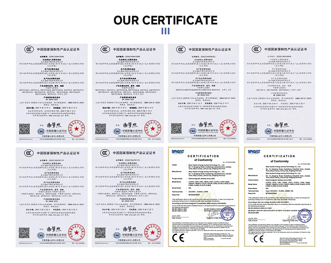 Induction Cooking Equipment 3