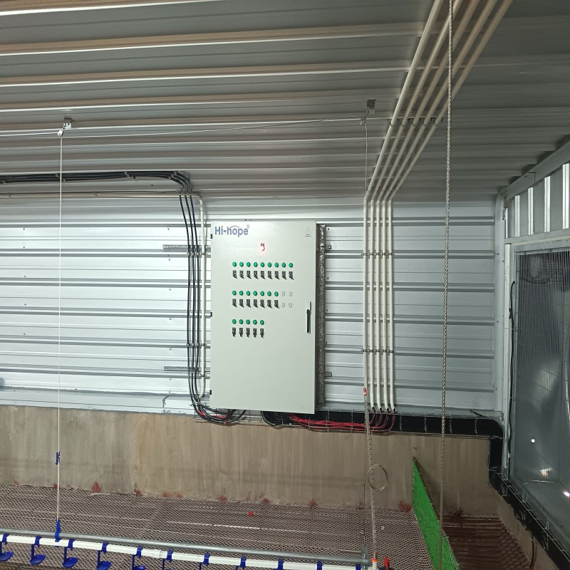 Comprehensive Poultry Farm Equipment for Tropical Regions with Feeding, Drinking, and Energy-Efficient Ventilation Solutions