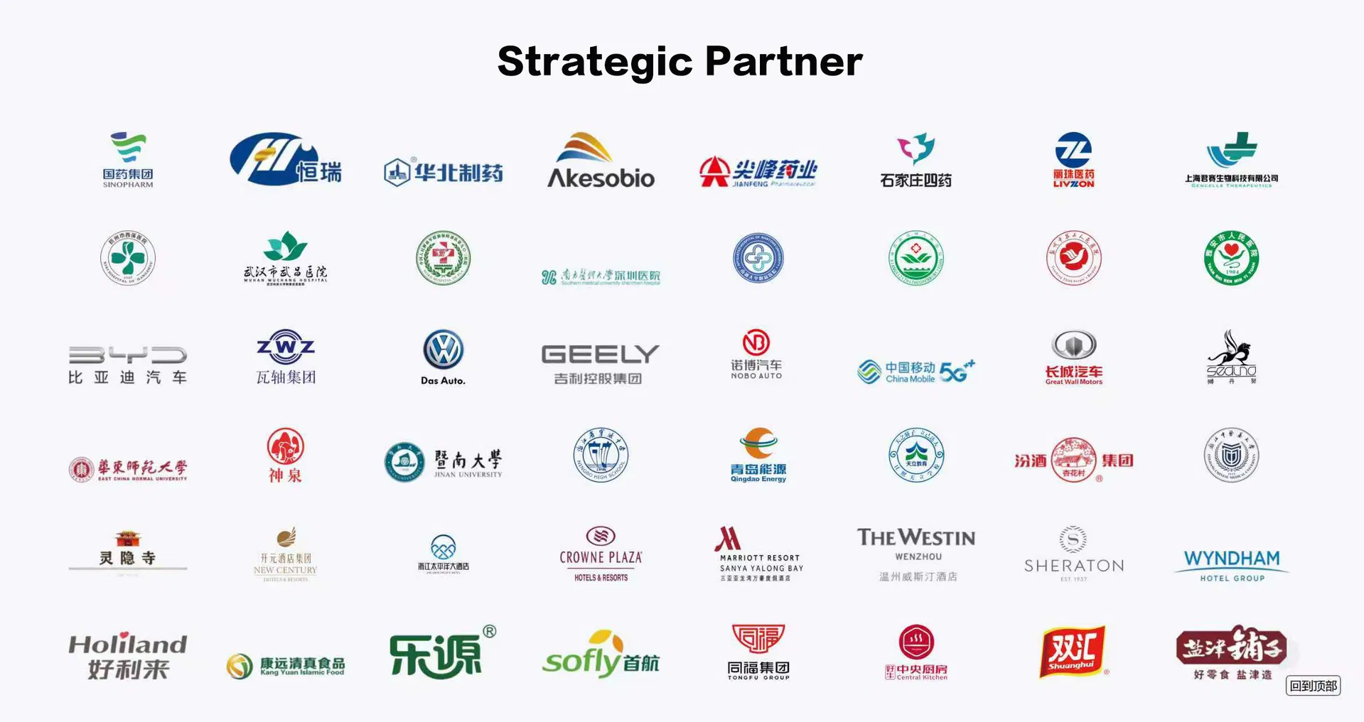 Strategic Partners