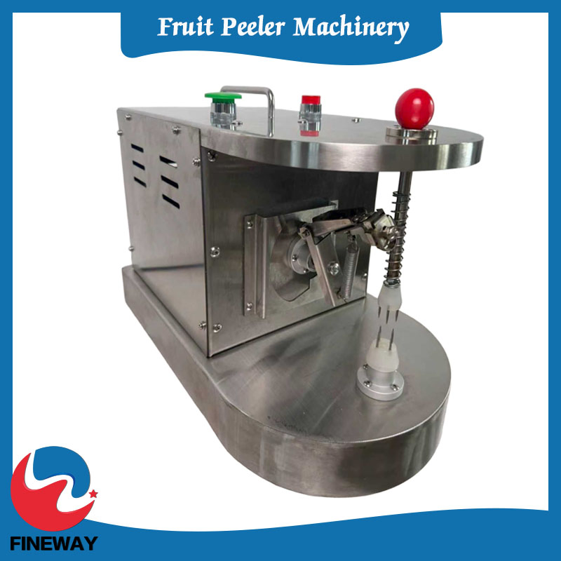 Multi-Function Automatic Fruit Skin Removal System