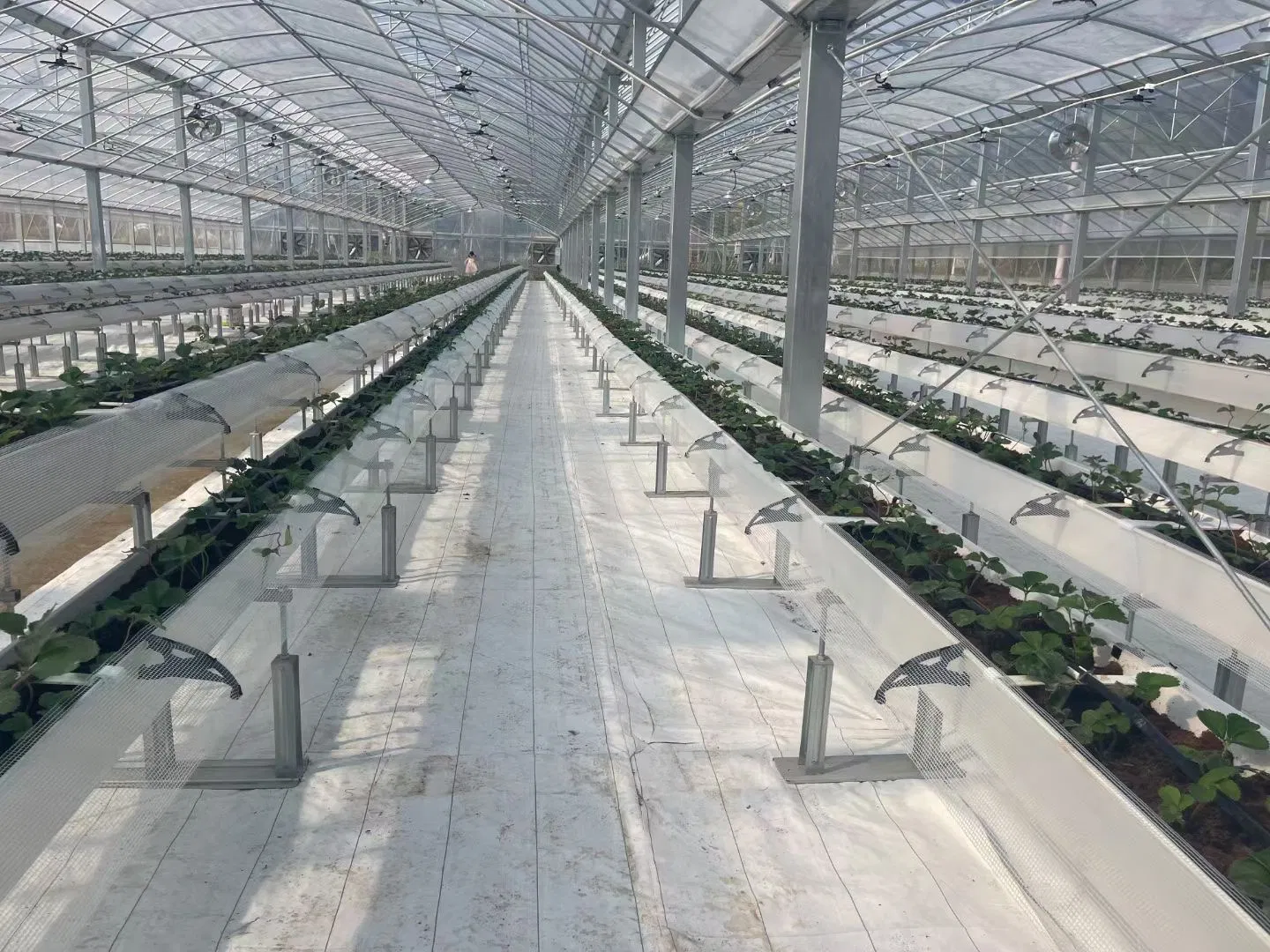 Aquaponics Commercial LED Vertical Strawberry Home Indoor Greenhouse Hydroponic Growing Systems