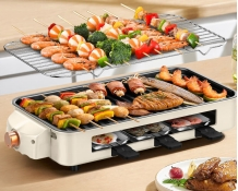 Multi-Function Electric Grill Pan with Barbecue