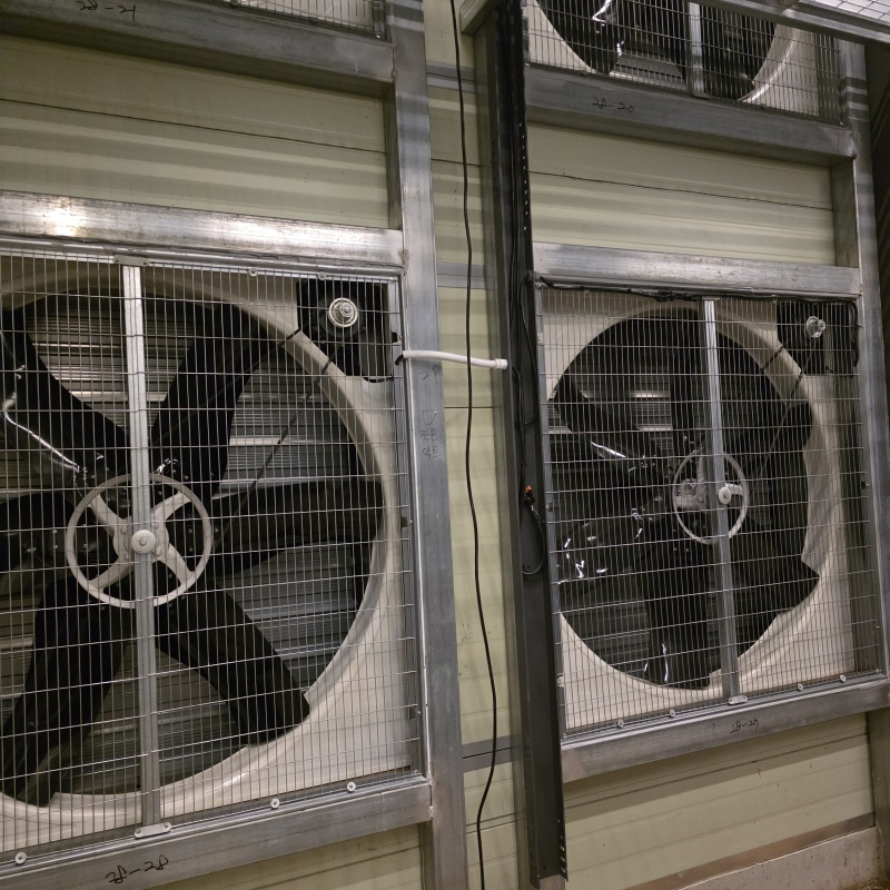 Energy-Efficient Lighting and Ventilation Systems Chicken Cage Equipment