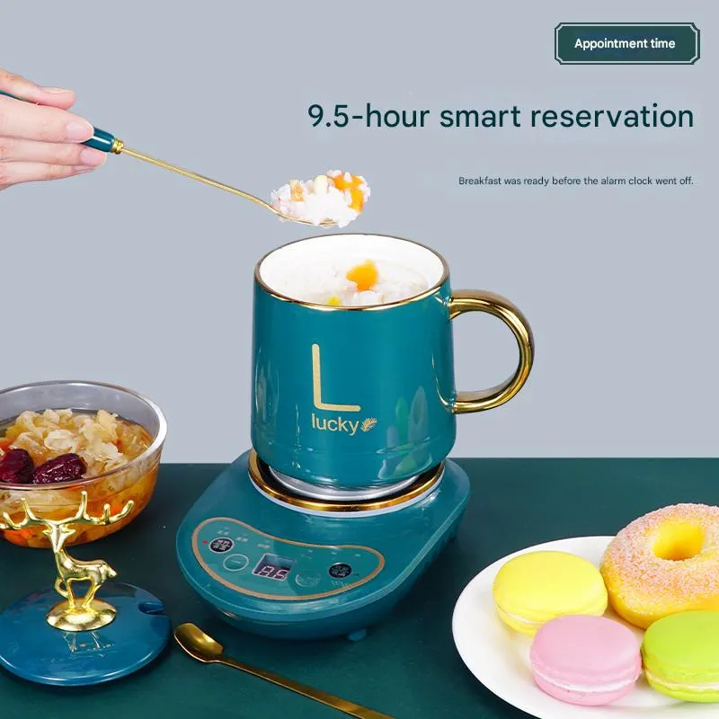 Electric Cooker Details