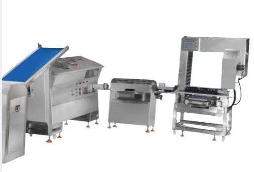 Versatile Steamed Bun Molding Solutions for Mass Production