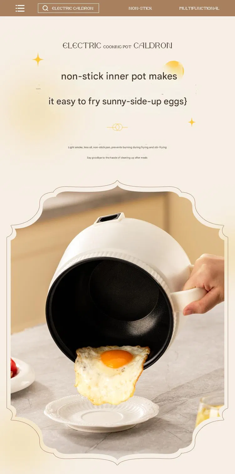 Electric Cooker Detail 14