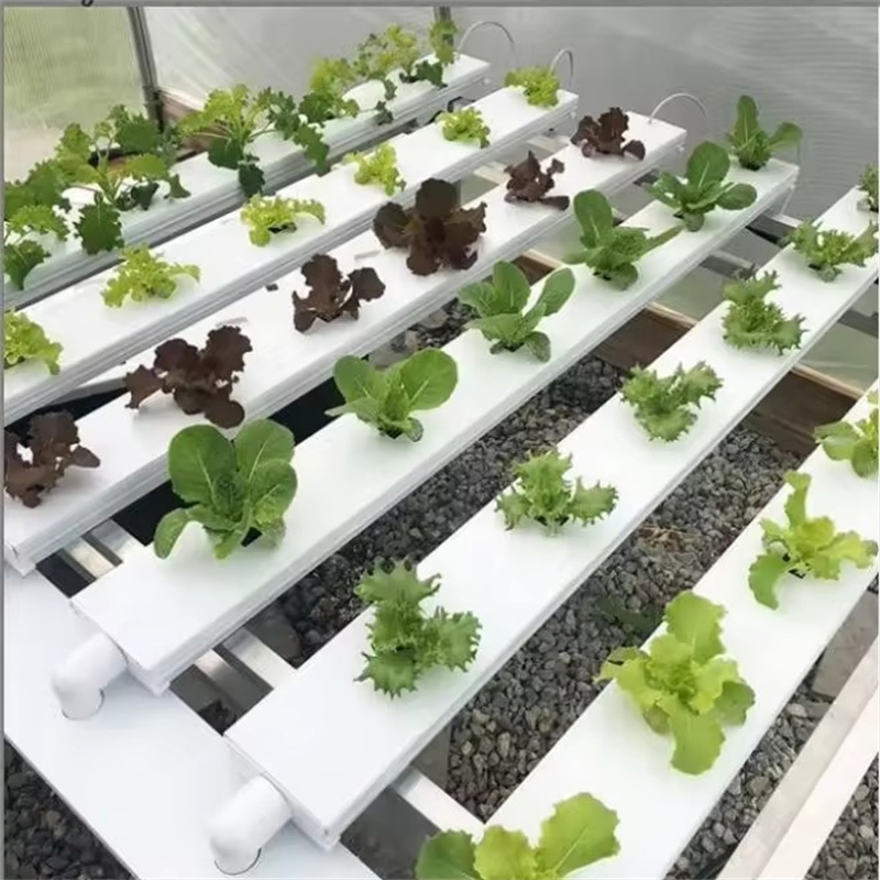 Hydroponic Nft Growing Gutters Channels / Gullies for Commercial Greenhouse Systems