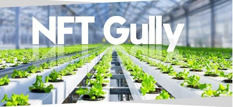 Hydroponic NFT System