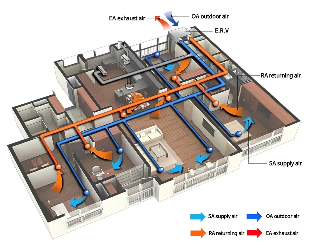 ERV Internal Structure