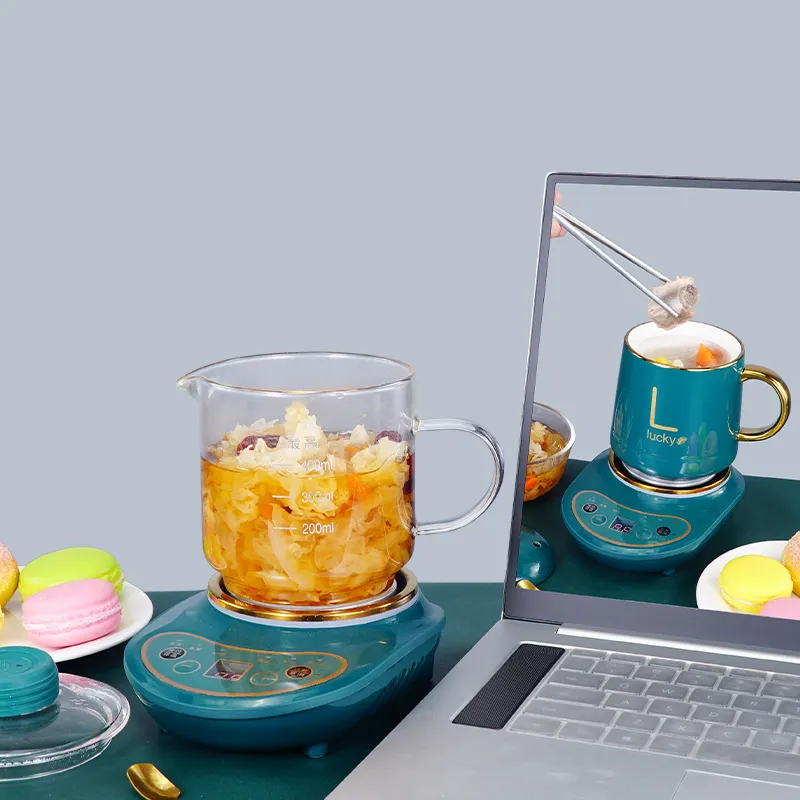 Electric Cooker Details