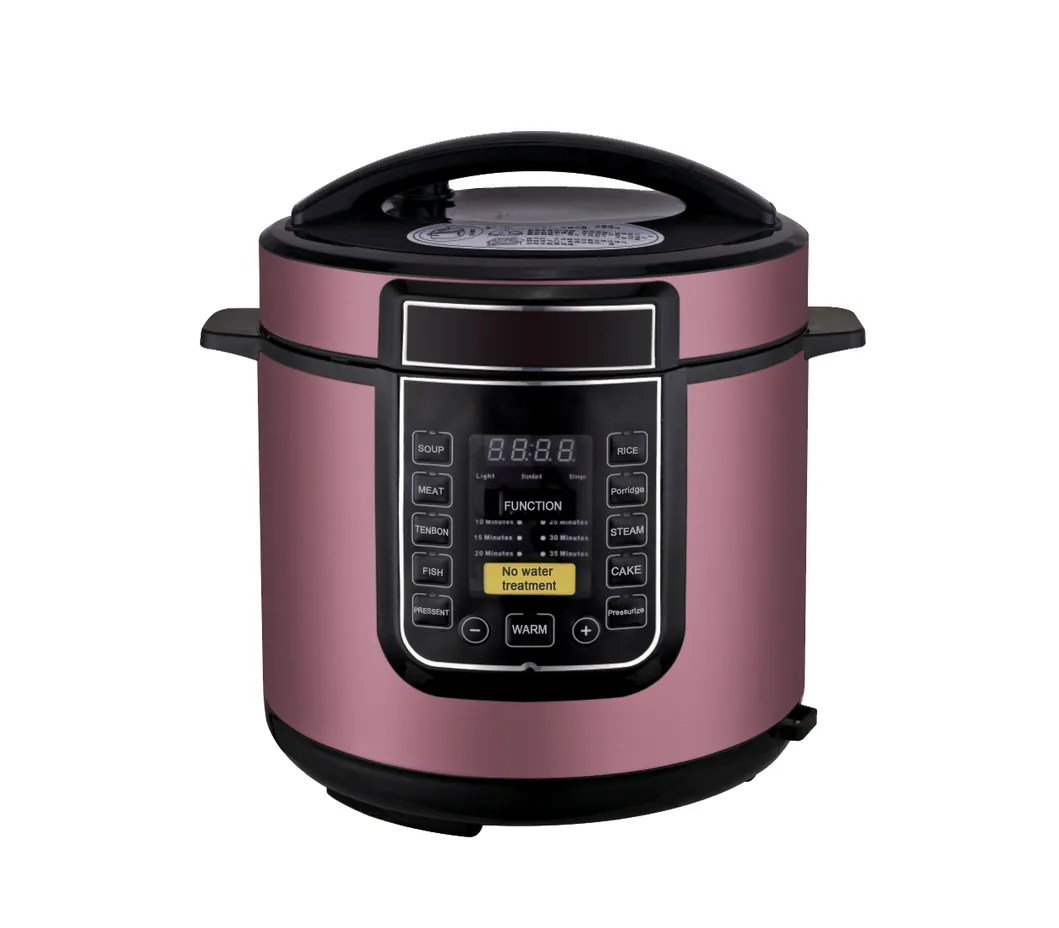 Electric Pressure Cooker View 3