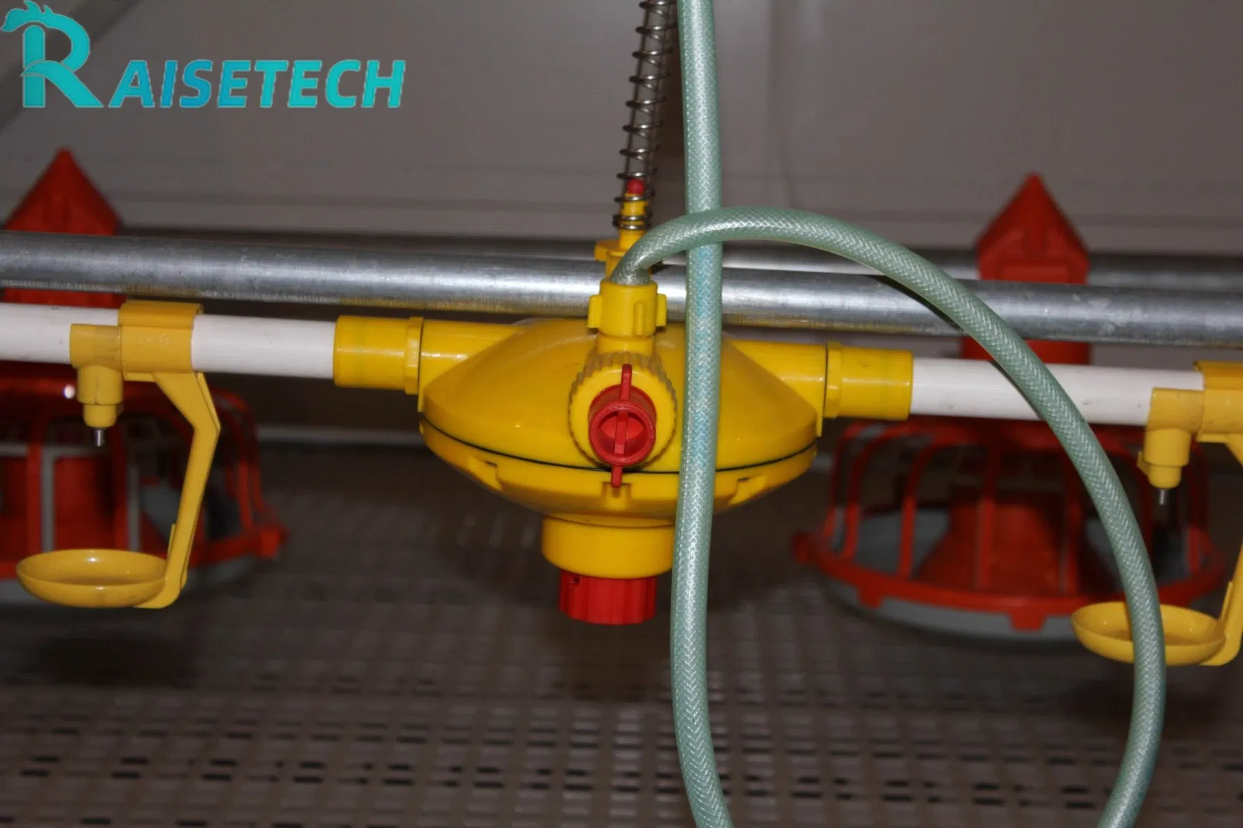 Rsisetech Breeder Drinking System - Ideal for Commercial Breeding Farms