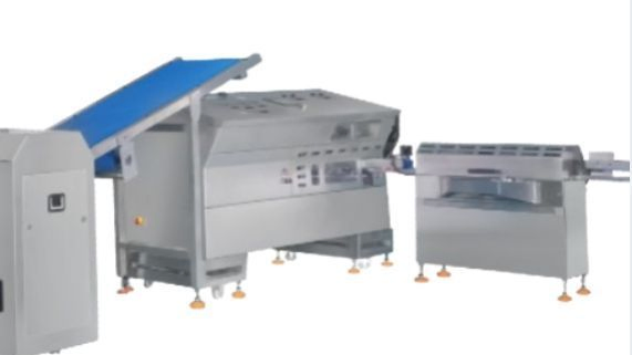 Versatile Steamed Bun Molding Solutions for Mass Production