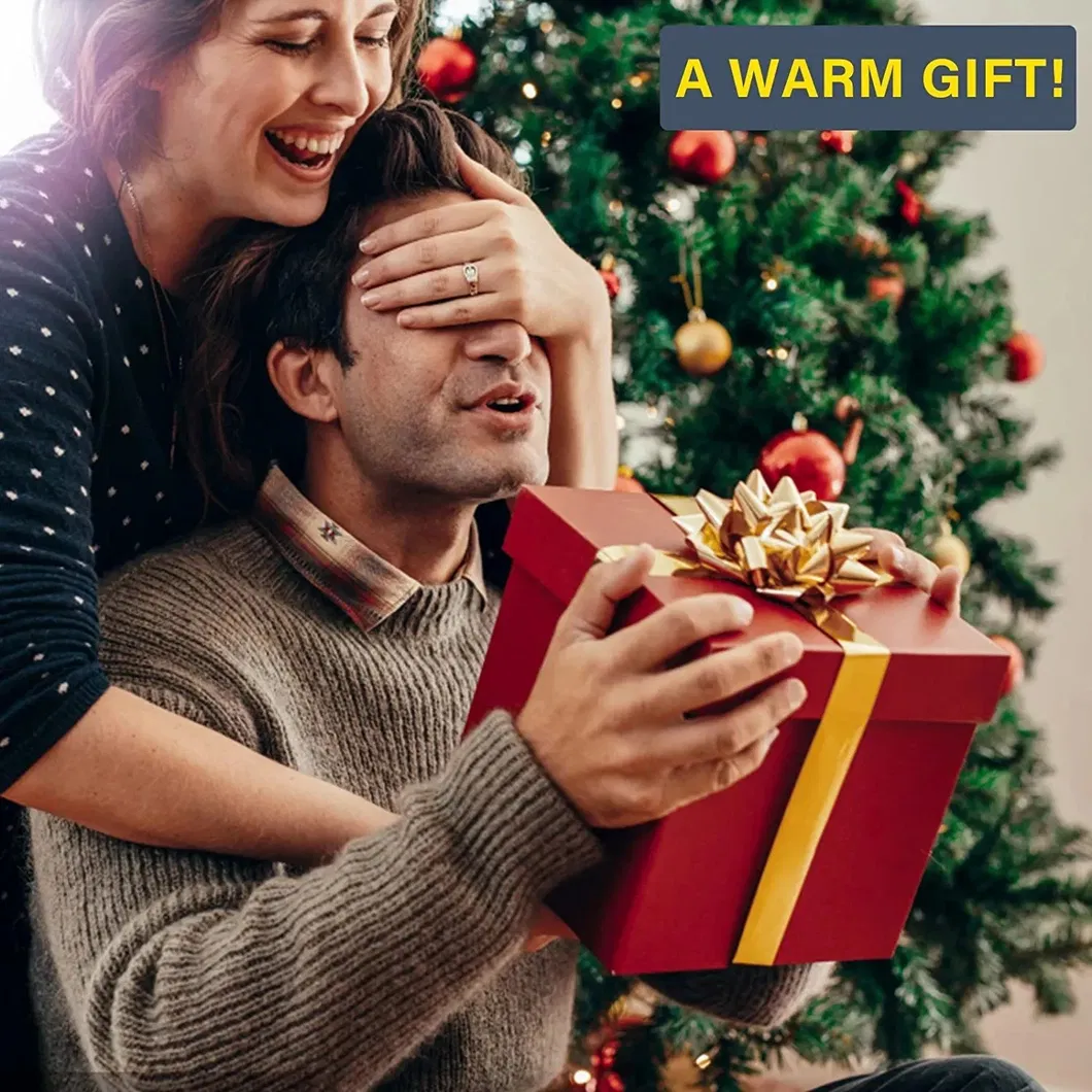 Electric Lunch Box 5