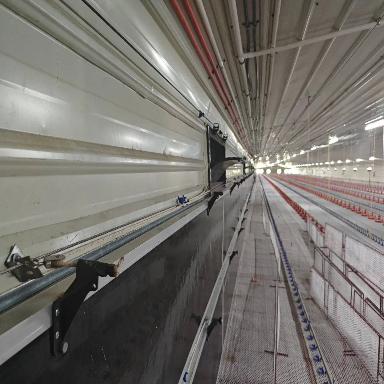 Efficient Chicken House Equipment with Low Labor Requirement Short Construction Time Energy Saving and High Economic Benefits