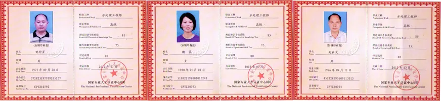 Advanced Iron Removal