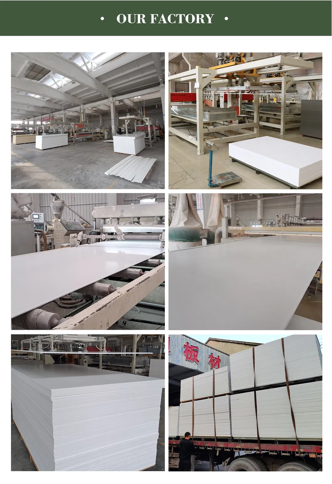 Logistics and Service