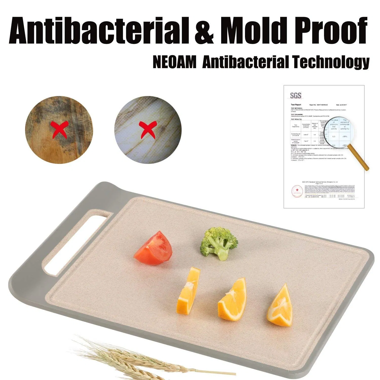 Antibacterial, BPA Free, and Durable, Earth Friendly Rice Husk Cutting Boardmodels with Various Sizes: