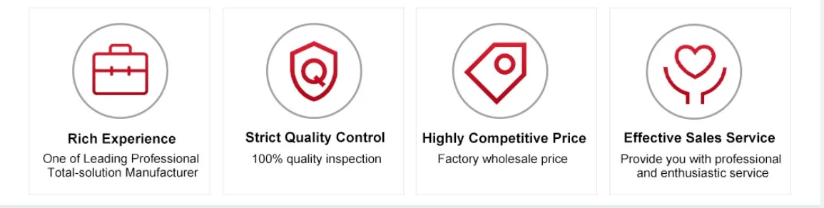 Our Advantages Infographic
