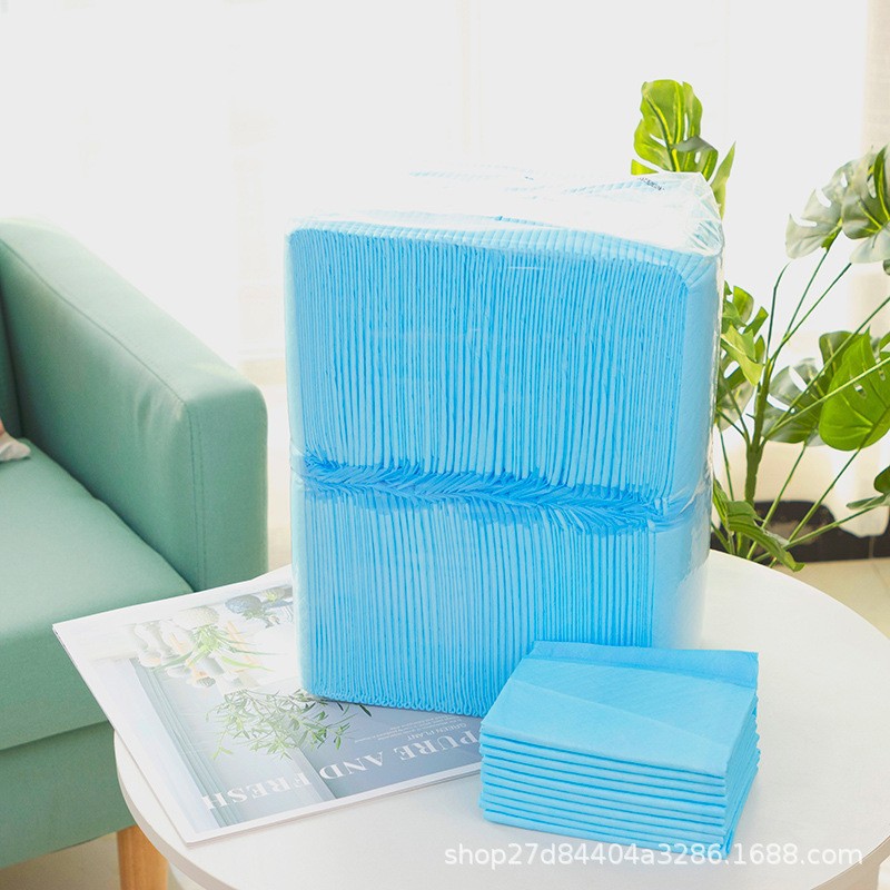 Wholesale Factory's Disposable Waterproof Non-woven Fabric 1 Ply Pet Diaper Pads For Dog Training Bulk Supply