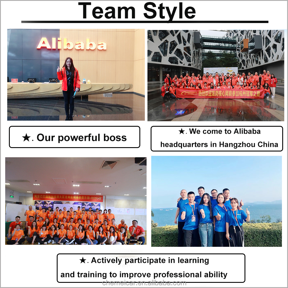 Team Members