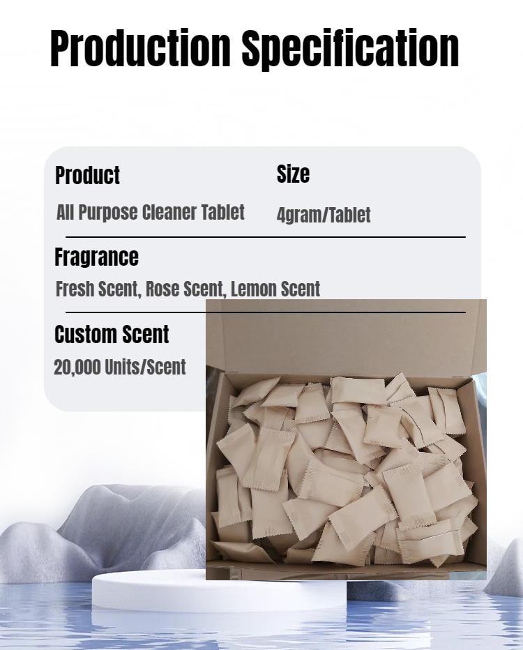 Cleaning Tablet Details 1