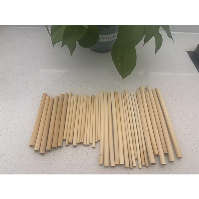 100% Biodegradable Bamboo Disposable Reusable Natural Reed Straw For Drinking Customized CE/EU Certified
