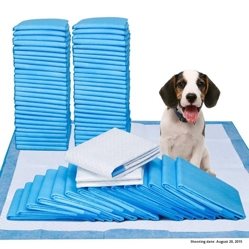 Wholesale Factory's Disposable Waterproof Non-woven Fabric 1 Ply Pet Diaper Pads For Dog Training Bulk Supply