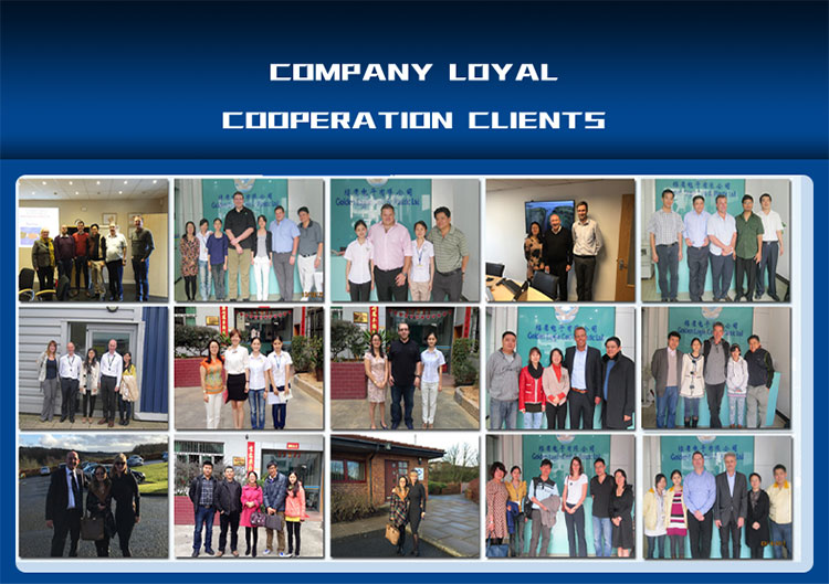 Company Profile 5