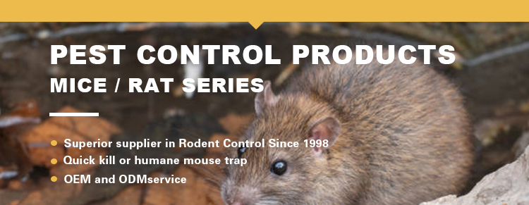 Pest Control Mini Catch Mouse Rat Killer Plastic Hot Sell Fast Catch Mouse Trap