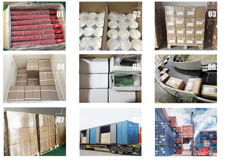Packaging Options and Shipping Procedures