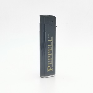 Mini Vibrator Electric Cigarette Kitchen Gas Lighters Disposable Electronic Cigarette BL-988 BRAND BOLIAN