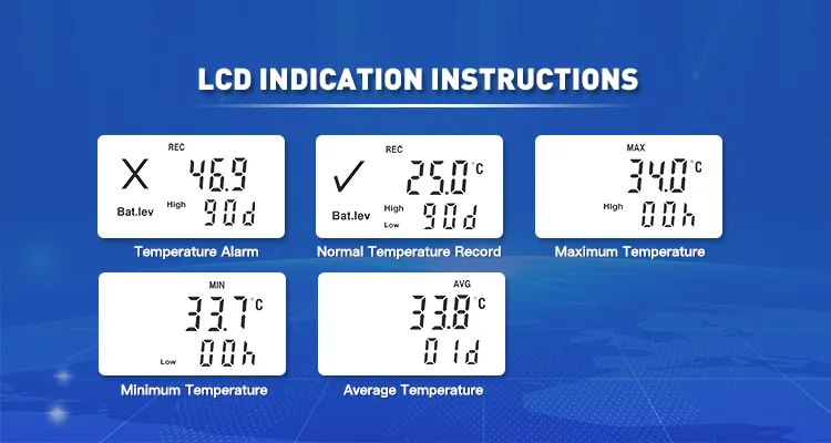 Thermis Log 10t LCD Screen Temperature Tracking Device