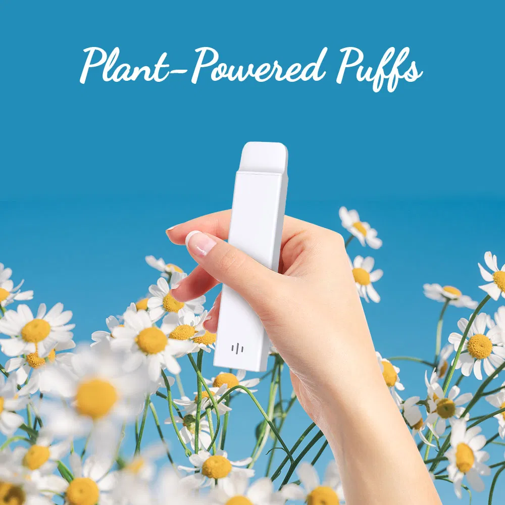 Healthy Botanical Aroma Inhaler 600 Puffs 0% Nicotine Sleek Portable Device