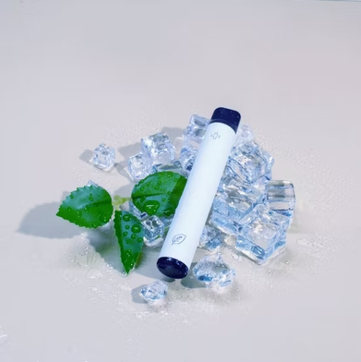 Healthy Botanical Aroma Inhaler 600 Puffs 0% Nicotine Sleek Portable Device