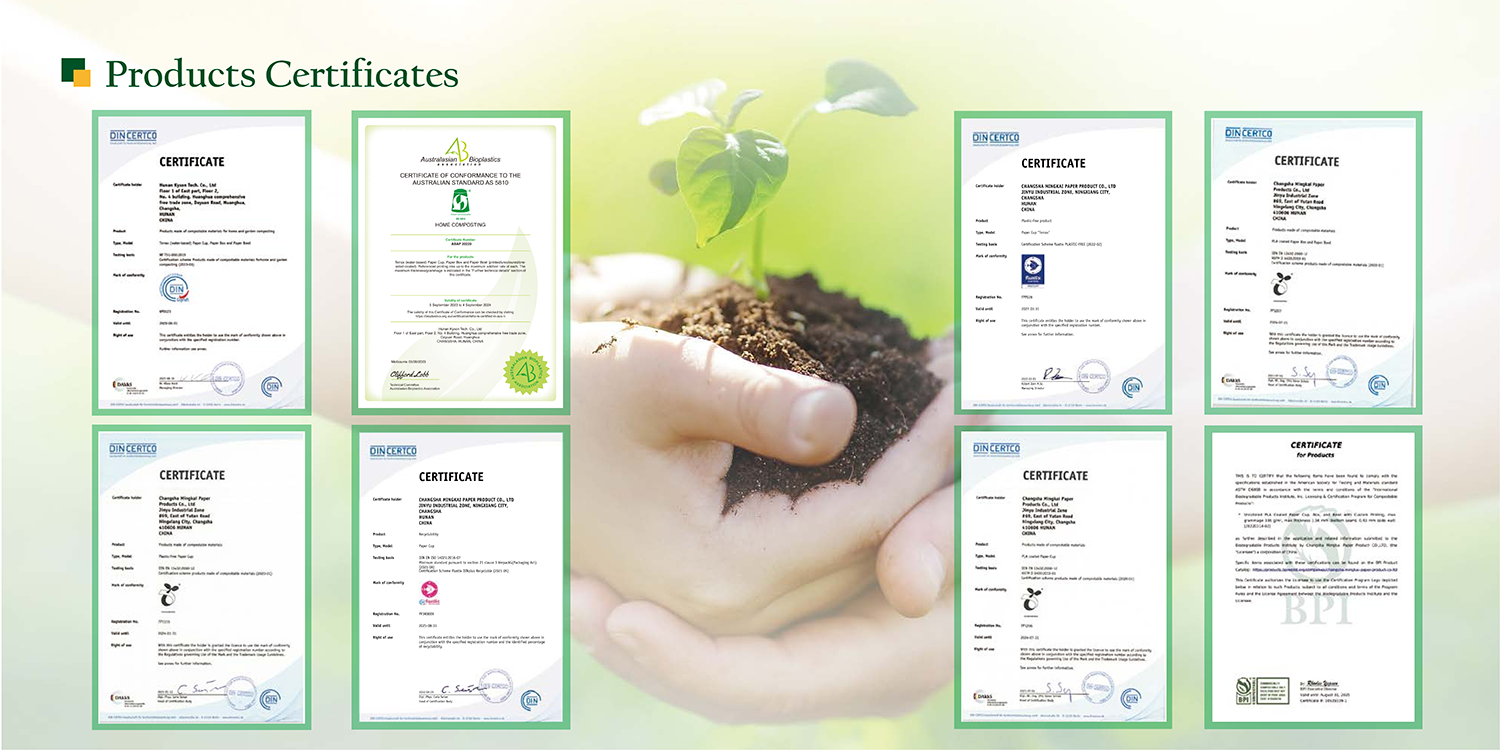 Eco Friendly Biodegradable OEM Custom Logo Disposable Coffee Cup Compostable Double Wall Paper Cups for Hot Drinks