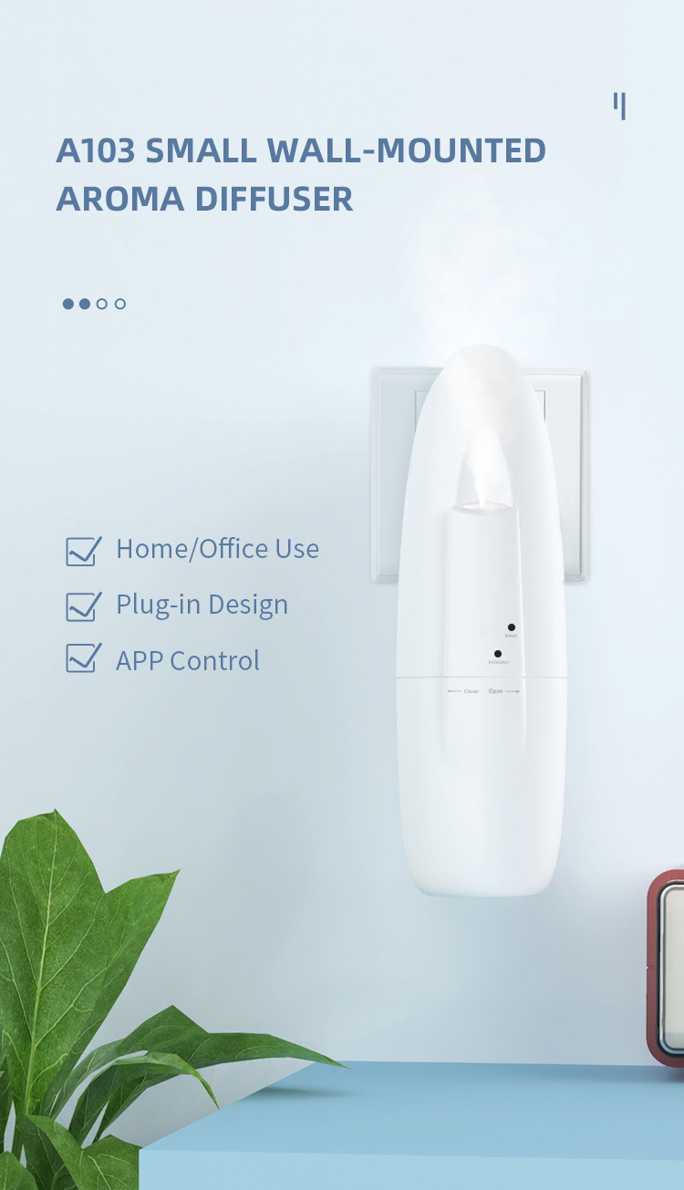 Product detail 1