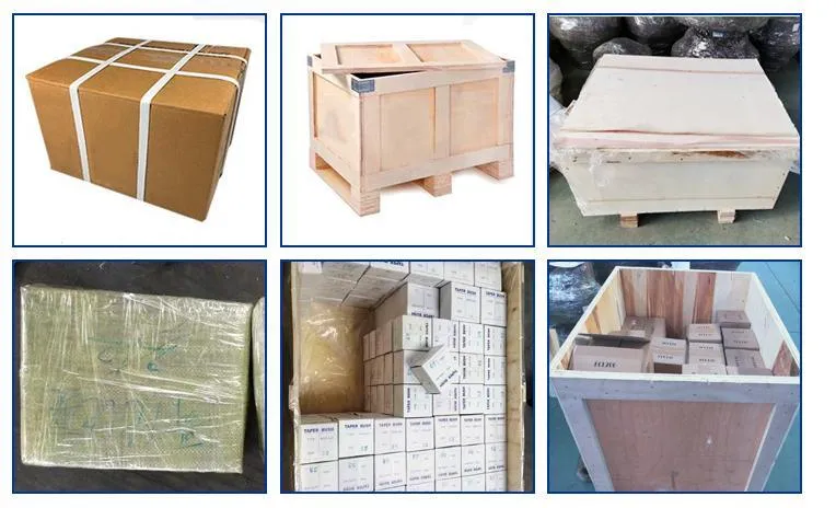 Packaging Case 1