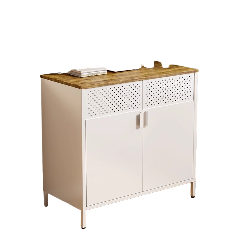 Nordic Modern 2-Door Steel MDF Sideboard Buffet Cabinet Large Capacity Apartment Home Furniture for Home Bar Dining Living Room