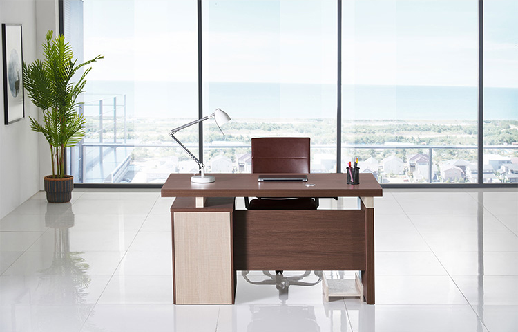 Manager Computer Desk