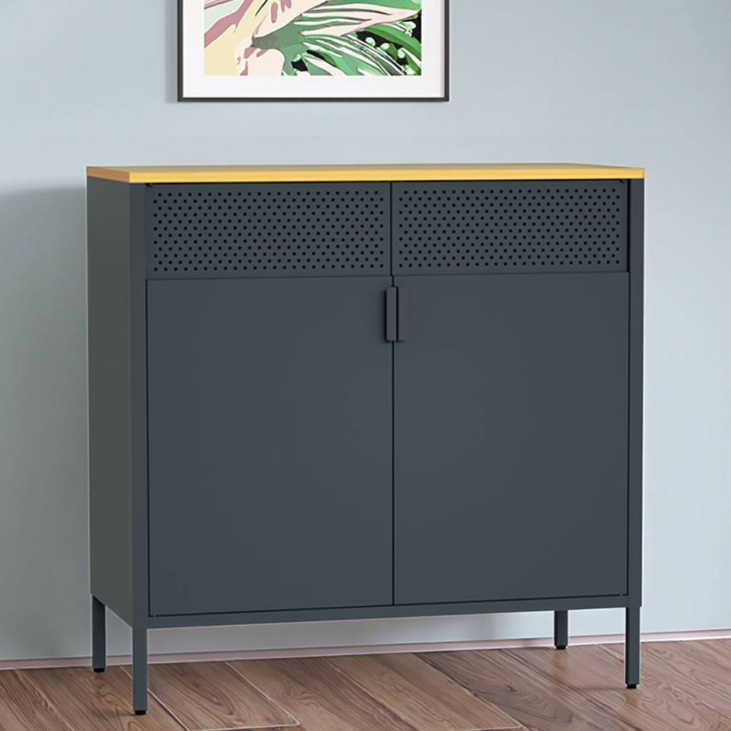 Modern 2-Door Steel Sideboard Buffet Cabinet Furniture Customized Color Side Table TV Stand Holder Living Room