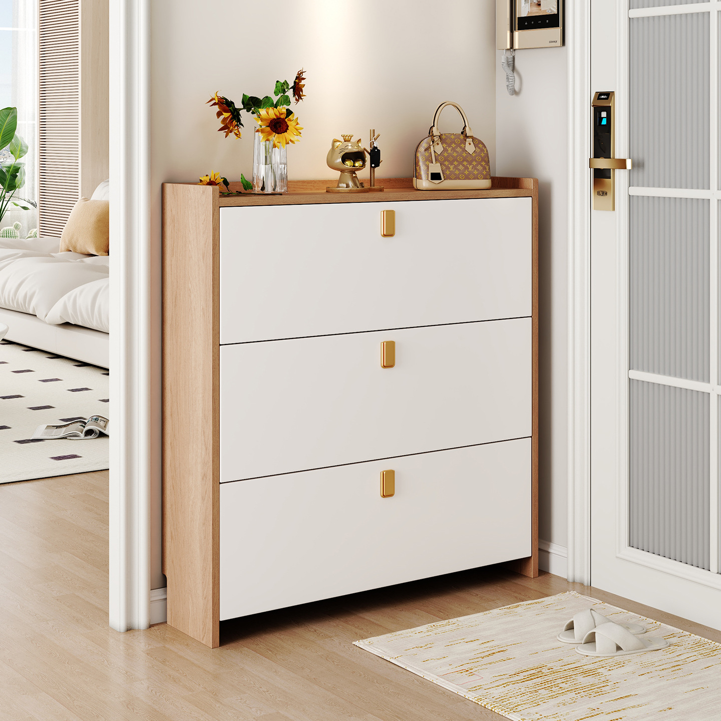Dust-proof Shoe Cupboard for Modern Mudroom Entryway Shoe Organizer for Professional Household Management