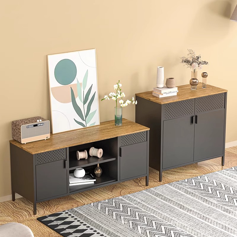 Modern 2-Door Steel Sideboard Buffet Cabinet Furniture Customized Color Side Table TV Stand Holder Living Room