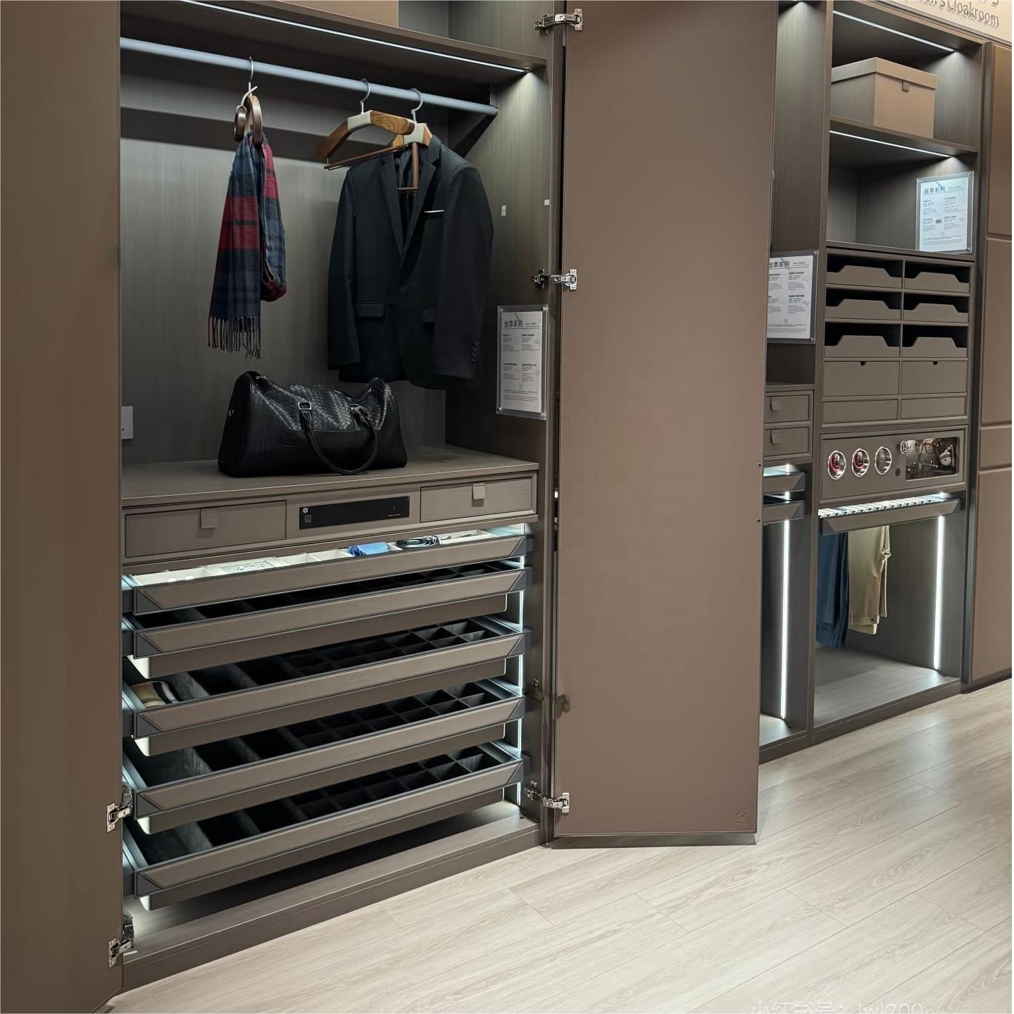 Modern Walk-in Closet Layout